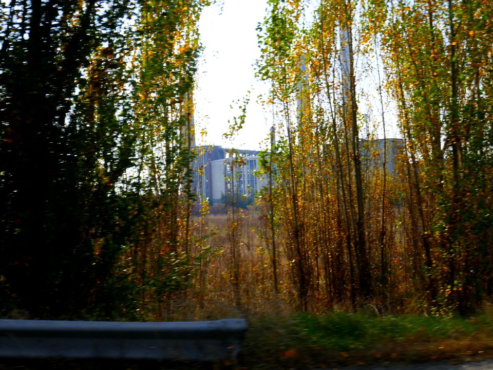 fall-colors-toamna2017_1022_133801