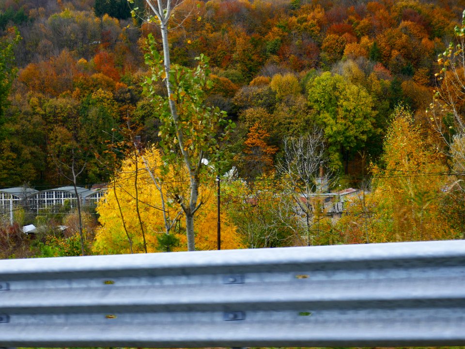 fall-colors-toamna2017_1022_124234