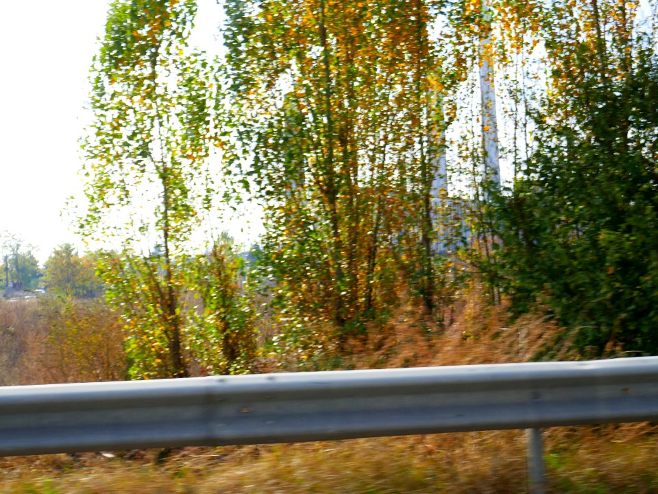 fall-colors-toamna2017_1022_133802