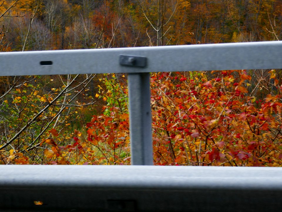 fall-colors-toamna2017_1022_124126