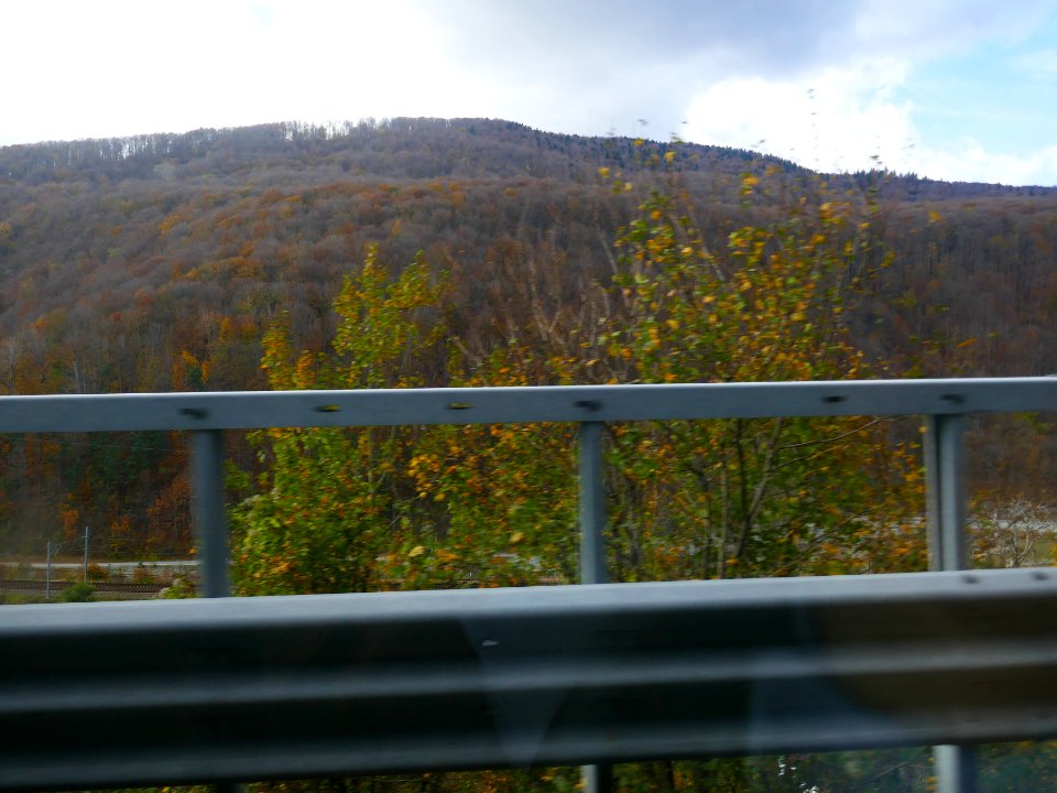 fall-colors-toamna2017_1022_124010