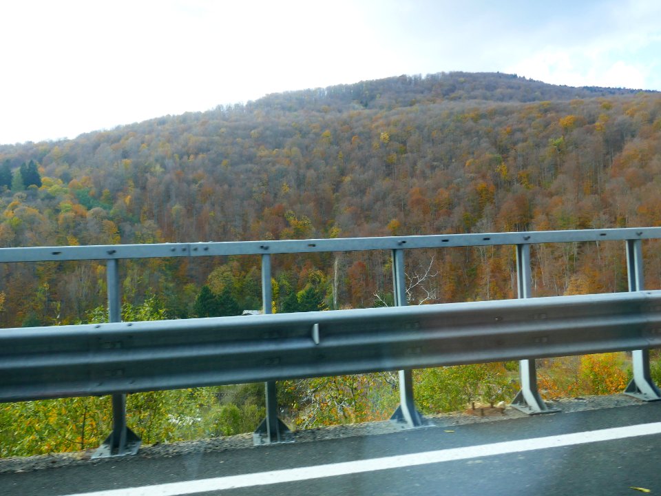 fall-colors-toamna2017_1022_124051