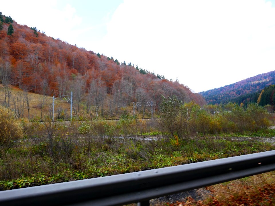 fall-colors-toamna2017_1022_114008