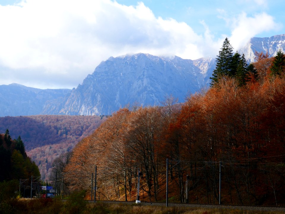 fall-colors-toamna2017_1022_113418