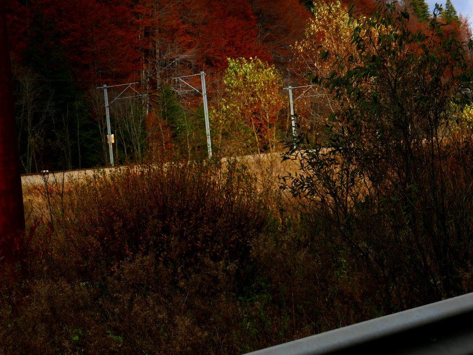 fall-colors-toamna2017_1022_113401