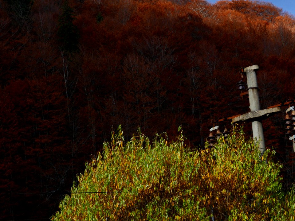 fall-colors-toamna2017_1022_113257
