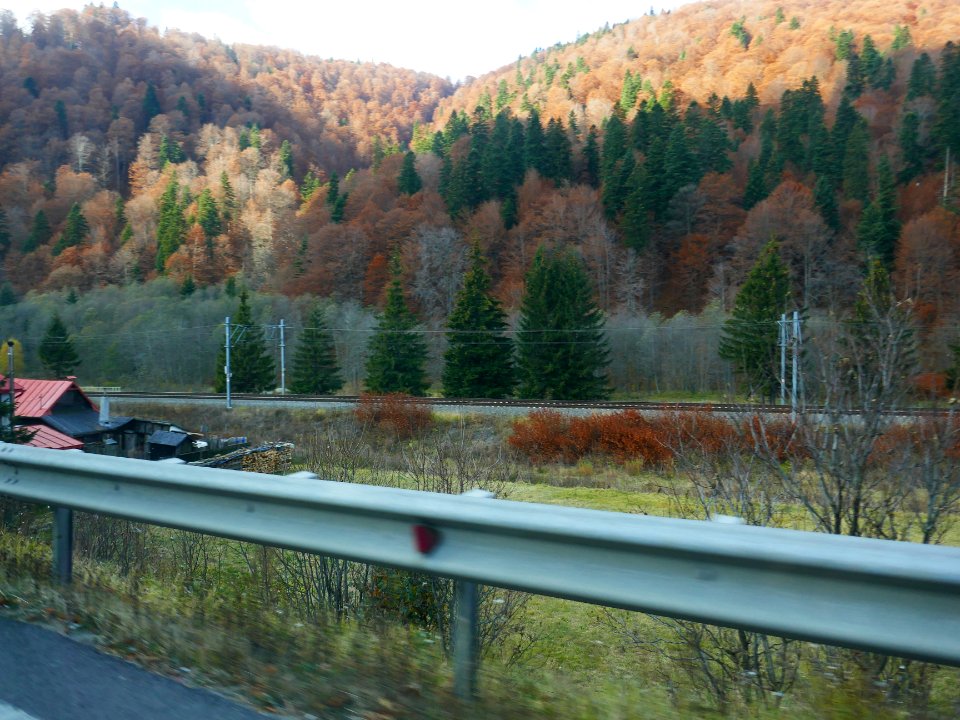 fall-colors-toamna2017_1022_112619