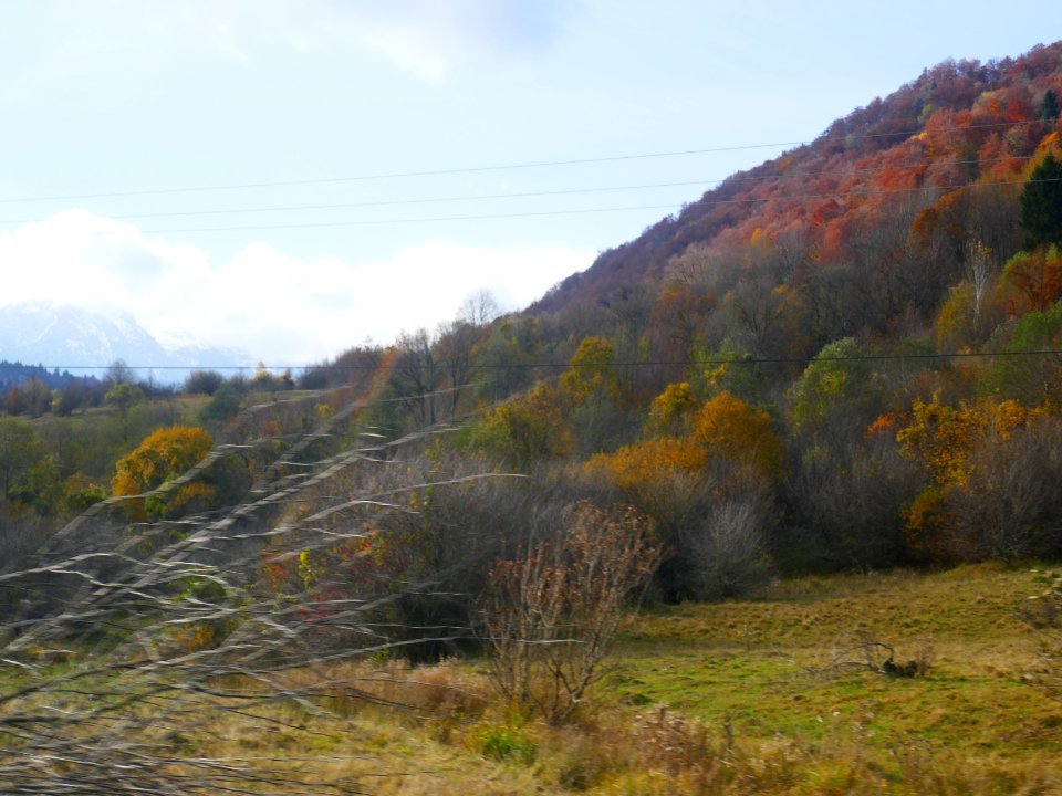 fall-colors-toamna2017_1022_110853