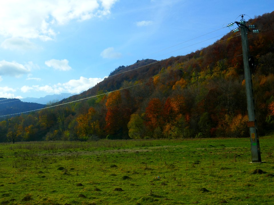fall-colors-toamna2017_1022_110736