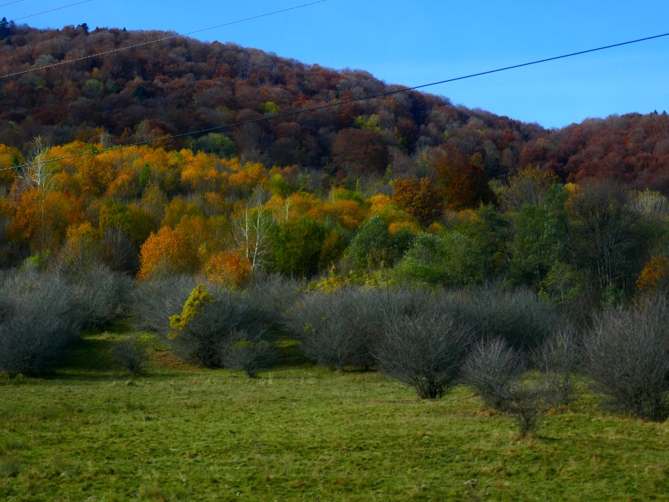 fall-colors-toamna2017_1022_110839
