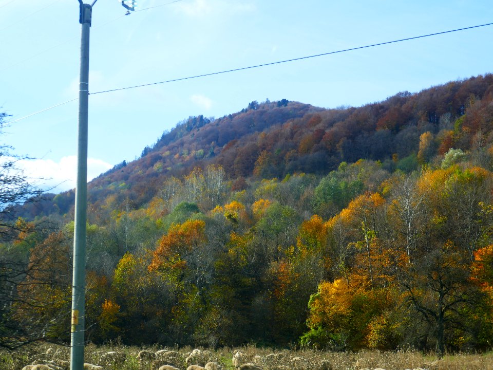 fall-colors-toamna2017_1022_110750
