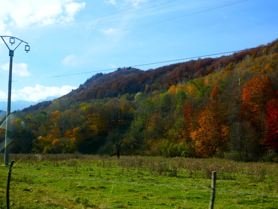 fall-colors-toamna2017_1022_110745