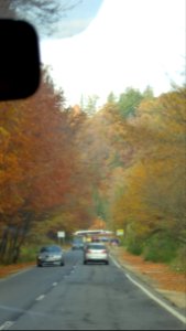 fall-colors-toamna2017_1022_110242