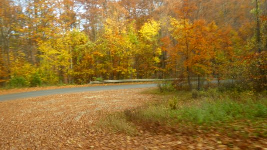 fall-colors-toamna2017_1022_110025