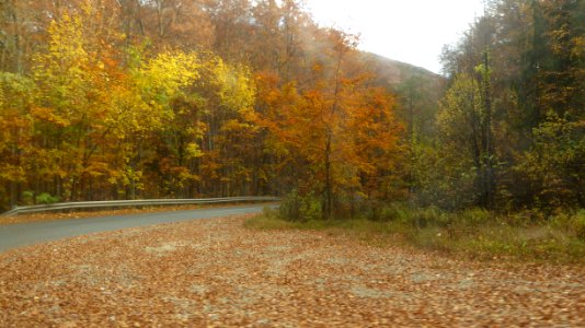 fall-colors-toamna2017_1022_110027