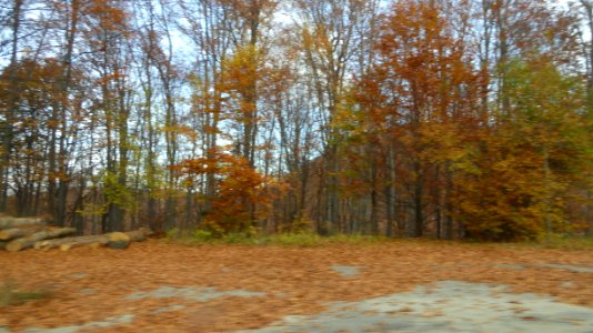 fall-colors-toamna2017_1022_105926