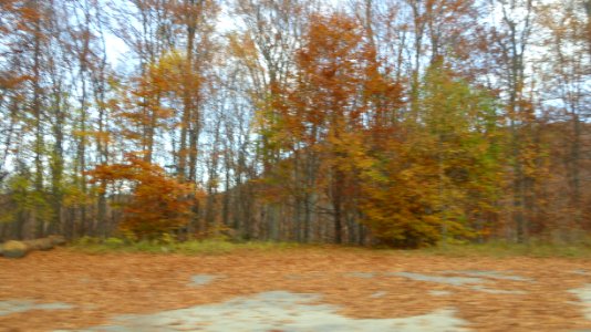 fall-colors-toamna2017_1022_105926(1)