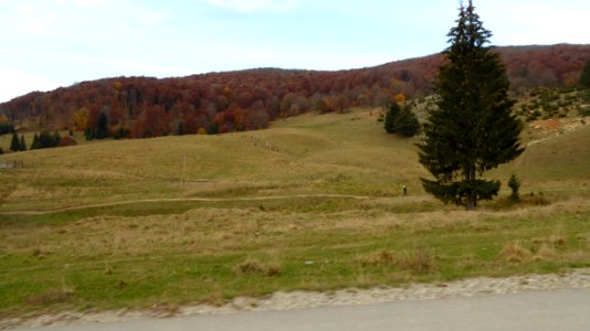 fall-colors-toamna2017_1022_105553