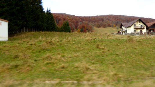 fall-colors-toamna2017_1022_105609