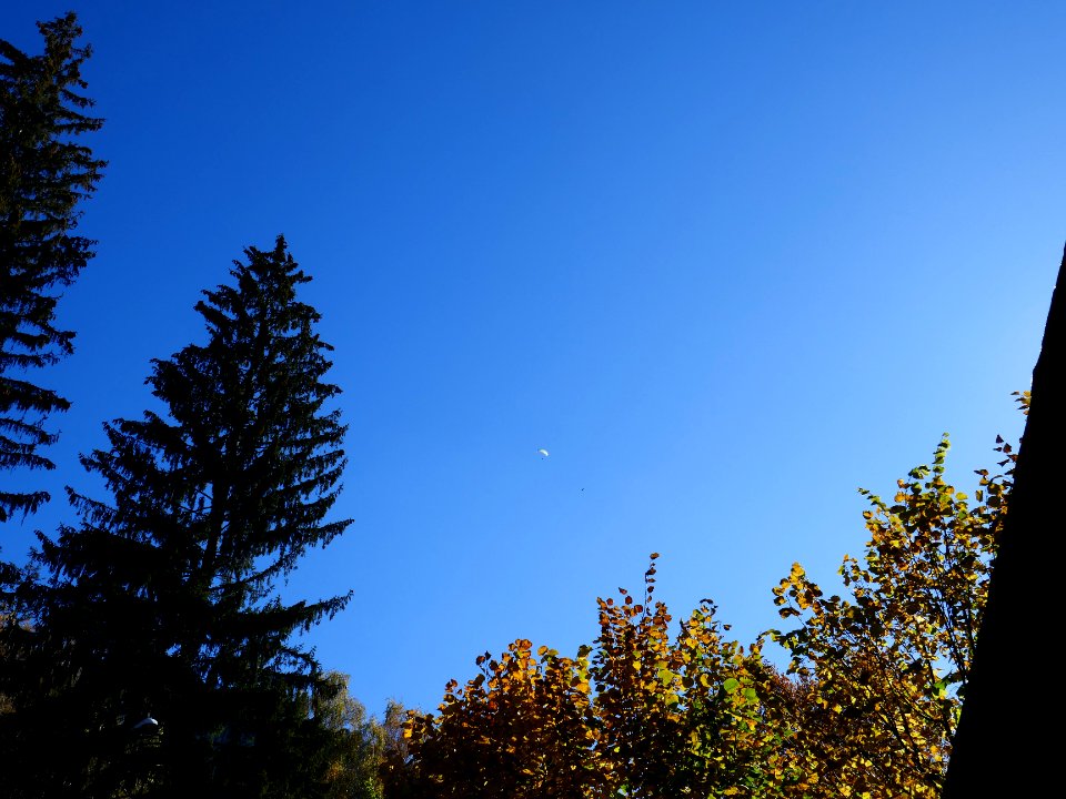 fall-colors-toamna2017_1021_130248