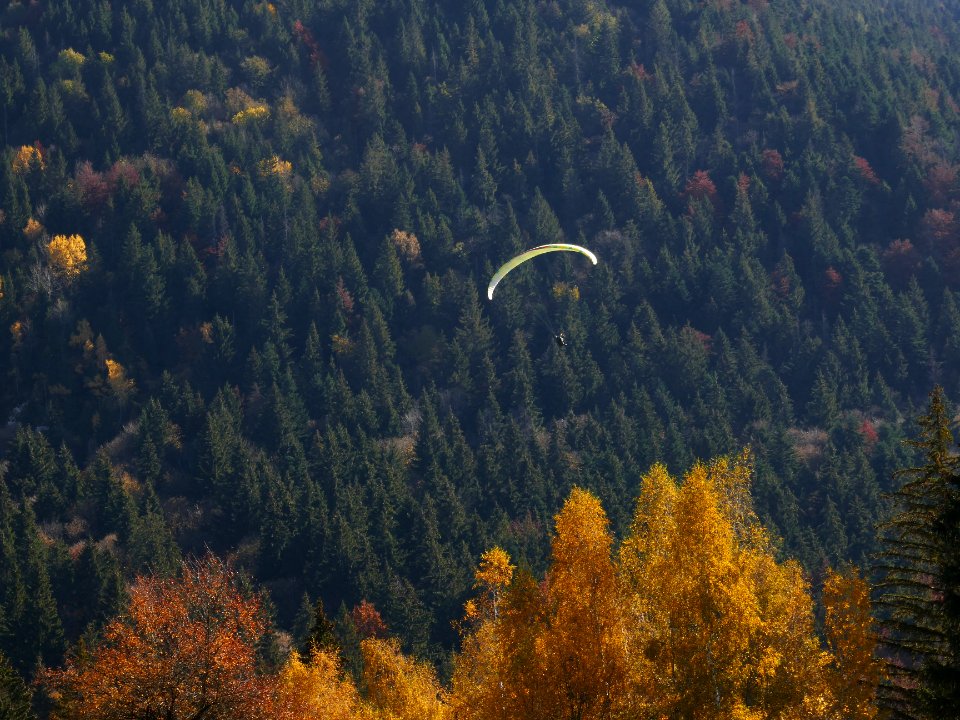 fall-colors-toamna2017_1021_130831