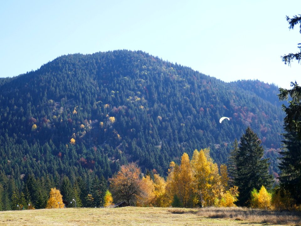 fall-colors-toamna2017_1021_130807