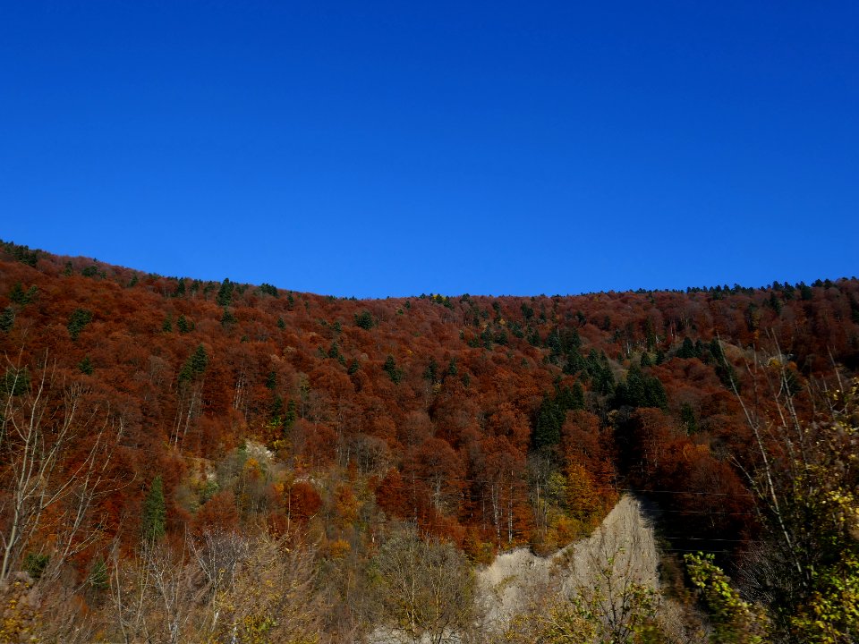 fall-colors-toamna2017_1020_162027