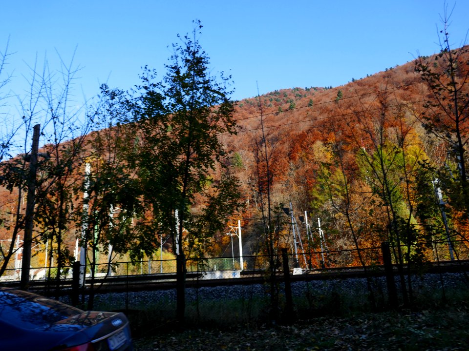 fall-colors-toamna2017_1020_162342