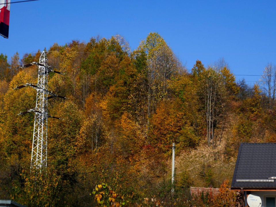fall-colors-toamna2017_1020_154905