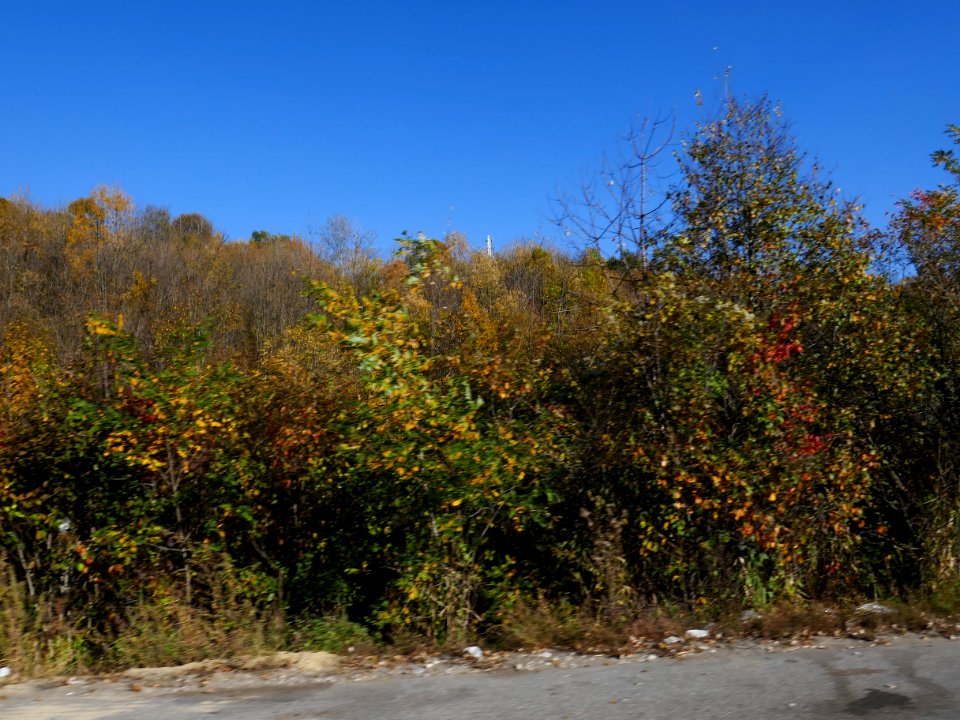 fall-colors-toamna2017_1020_153928