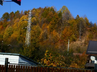 fall-colors-toamna2017_1020_154951