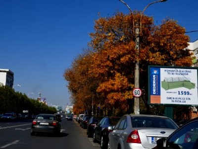fall-colors-toamna2017_1020_141822