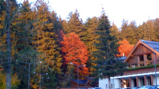 culori-toamna2017_1020_181614