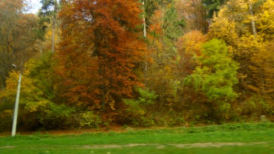 colors-fall-toamna2017_1022_110328