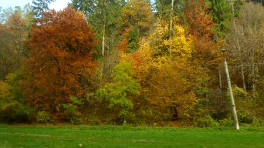 colors-fall-toamna2017_1022_110327(1)