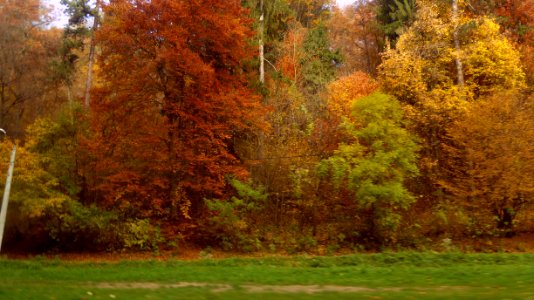colors-fall-toamna2017_1024_104715
