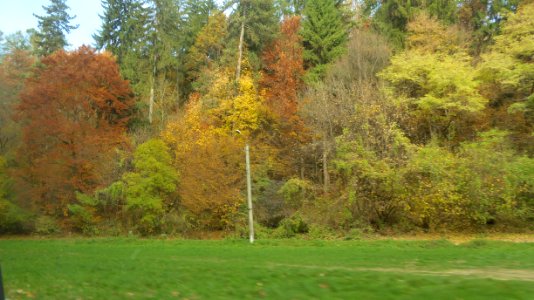 colors-fall-toamna2017_1022_110326