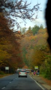 colors-fall-toamna2017_1022_110248