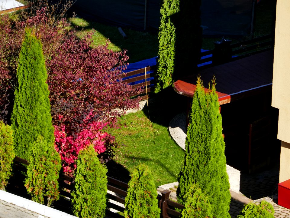 colors-fall-Poiana2017_1021_111419