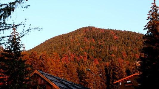 colors-fall-Poiana2017_1020_181132