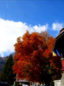 Caraiman-Busteni-2017_1022_121347(1)