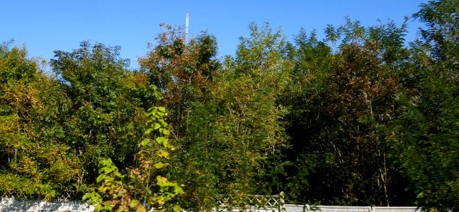 Buc-Otopeni-Snagov2017_1024_092510