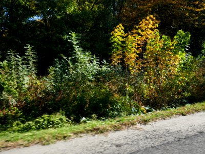 Buc-Otopeni-Snagov2017_1020_144911