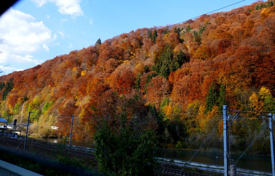 Ploiesti-ValeaPrahov2017_1020_162054(1)