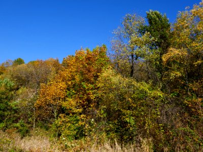 Ploiesti-ValeaPrahov2017_1020_153936 photo