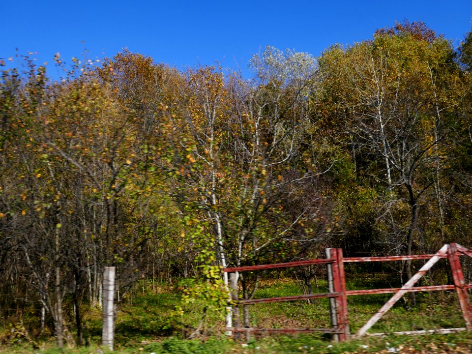 Ploiesti-ValeaPrahov2017_1020_154022