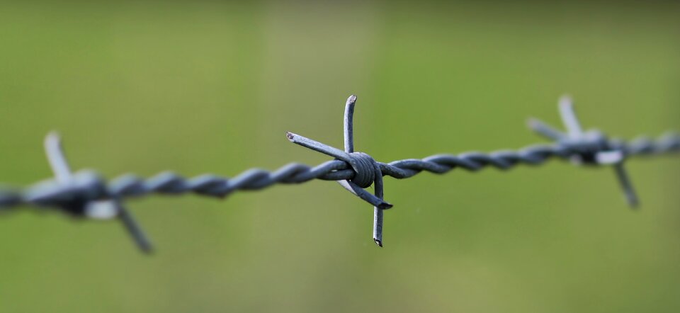 Demarcation wire pasture