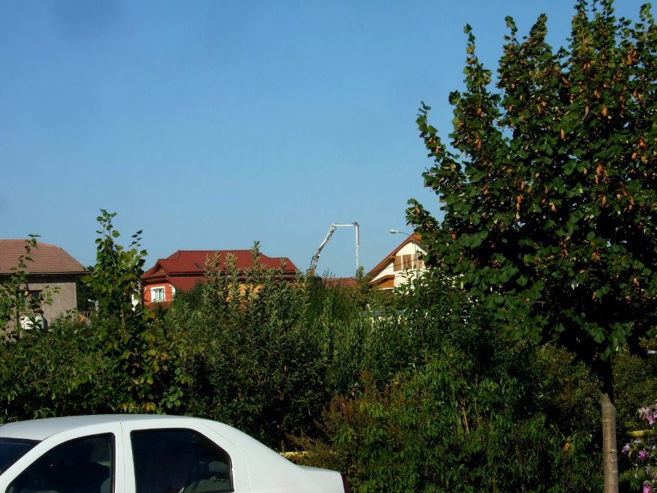 arcada2010_0823_173823