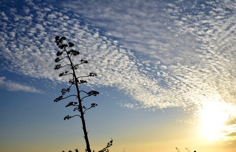 Clouds evening sky sun
