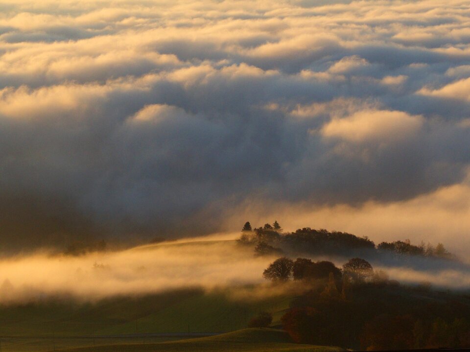 Trees hills nature